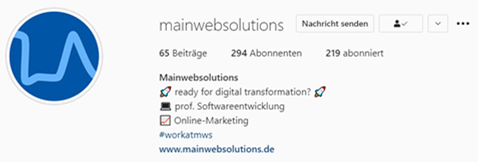 Beispielprofil Mainwebsolutions